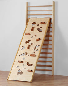 Mur d'escalade pour la fixation de blocs d'escalade