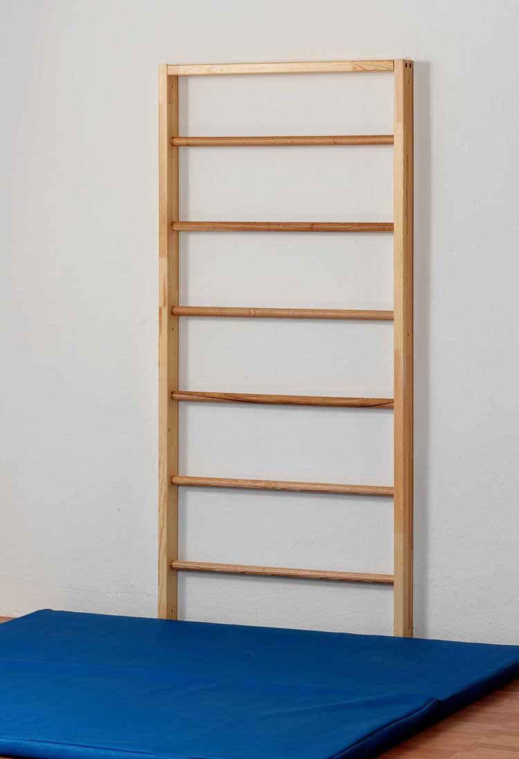 Single element of a large-field wall bars with 6 rungs