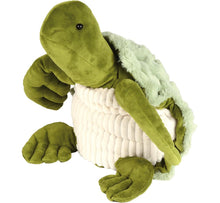 Gewichtstier-Schildkröte Siegfried