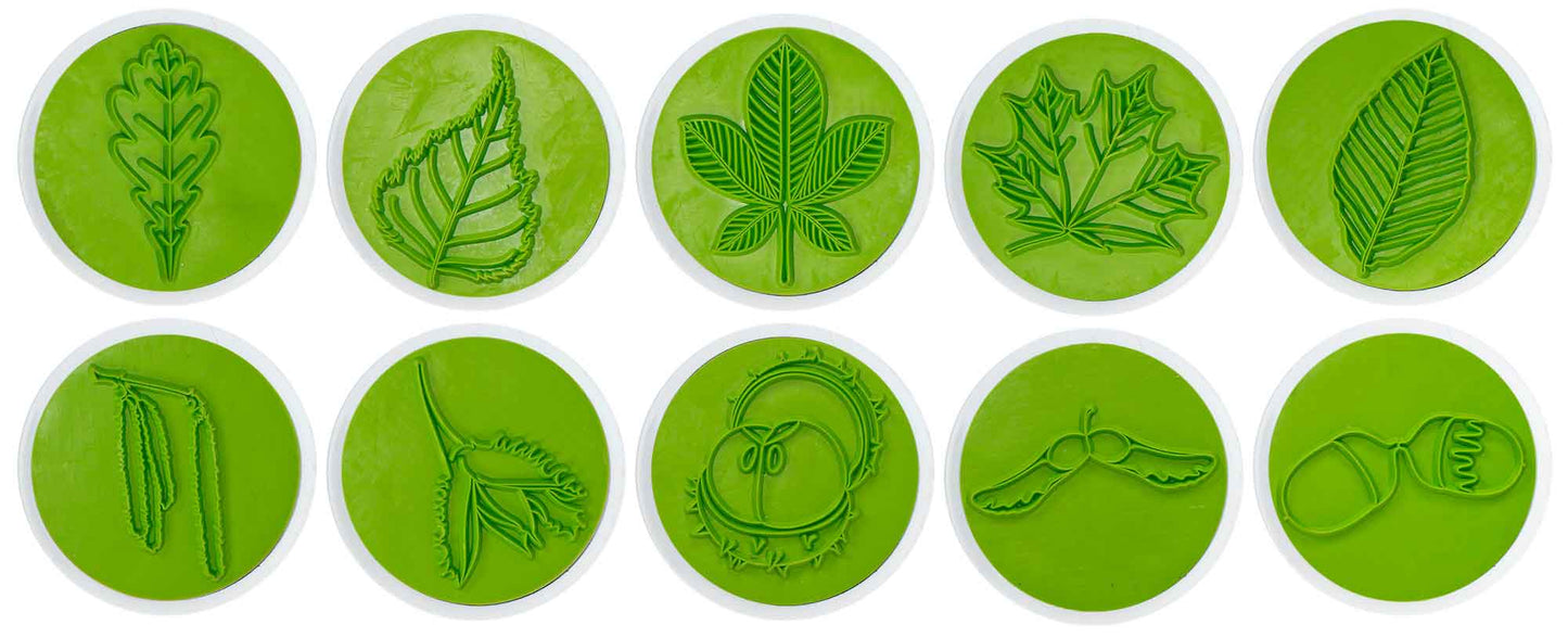 Ensemble de tampons feuilles et fruits, 10 pièces.