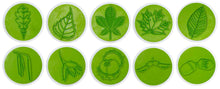 Ensemble de tampons feuilles et fruits, 10 pièces.