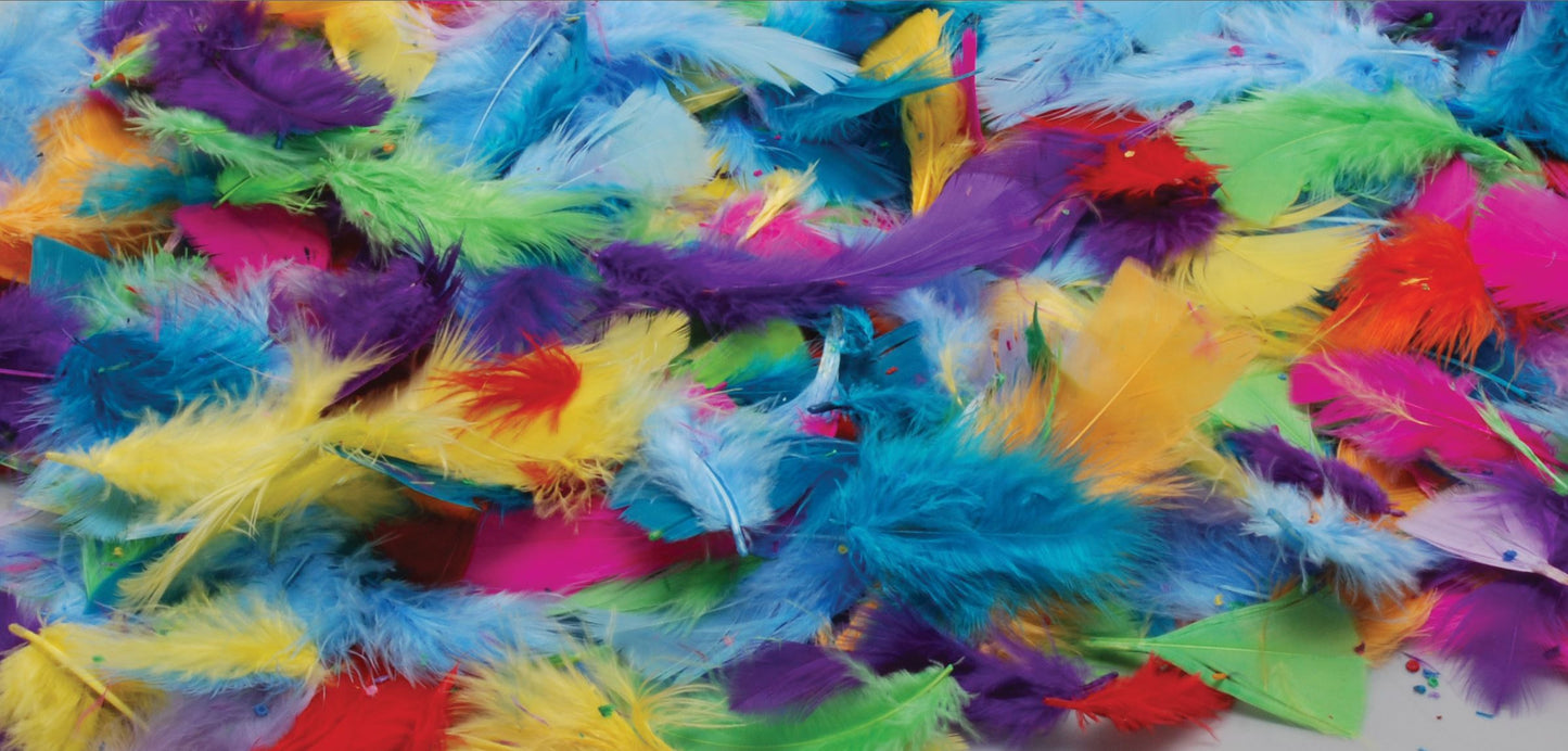 Plumes pour le bricolage