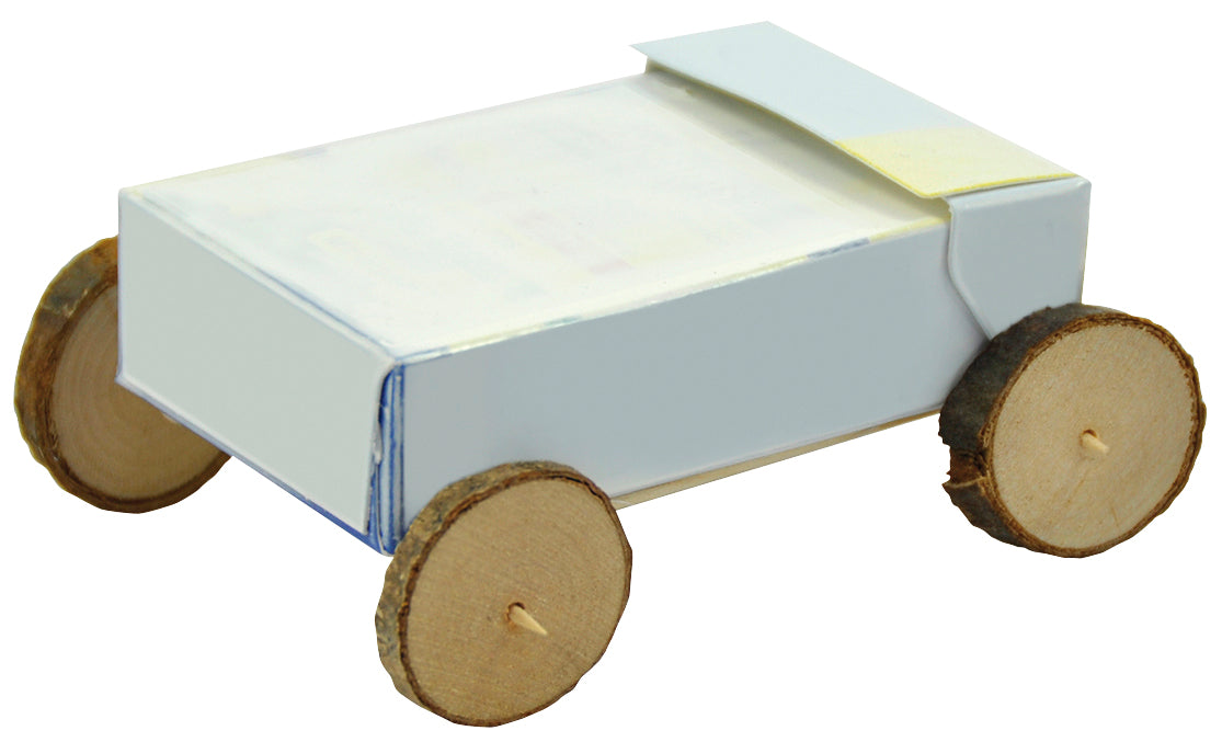 Birkenholzscheiben klein zwischen 1,5 und 5 cm Ø - 1kg