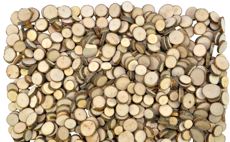 Birkenholzscheiben klein zwischen 1,5 und 5 cm Ø - 1kg