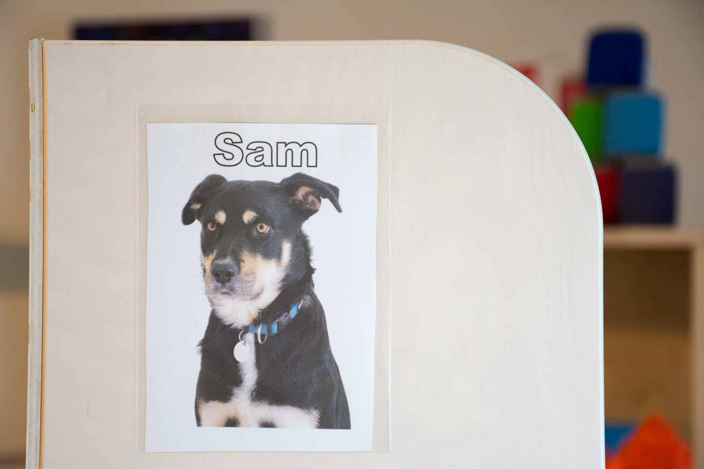 Info Pocket A6 selbstklebend