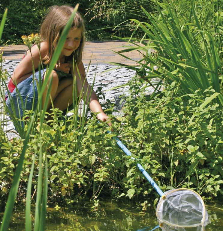 Kescher mit Teleskopstil