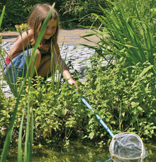 Kescher mit Teleskopstil