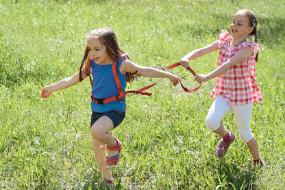 Pferdeleine aus Nylon rot