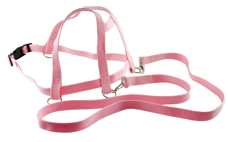 Pferdeleine aus Nylon altrosa