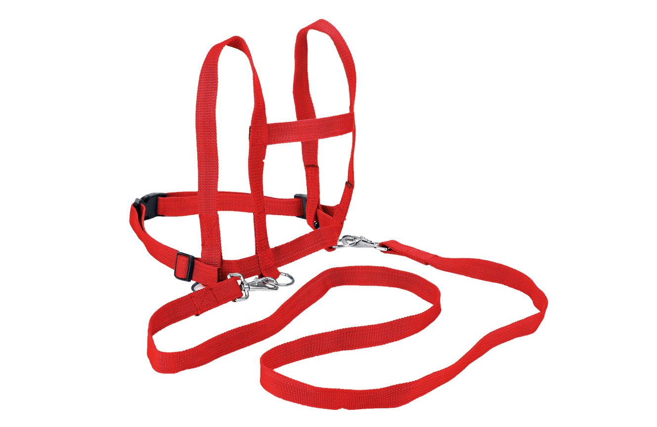 Pferdeleine aus Nylon rot