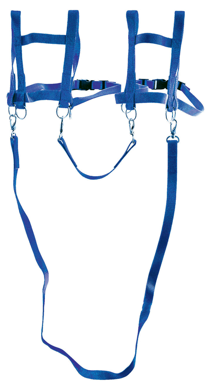 Doppelgespann-Pferdeleine aus Nylon