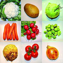 Holzpuzzle Gemüse 9er, Puzzle