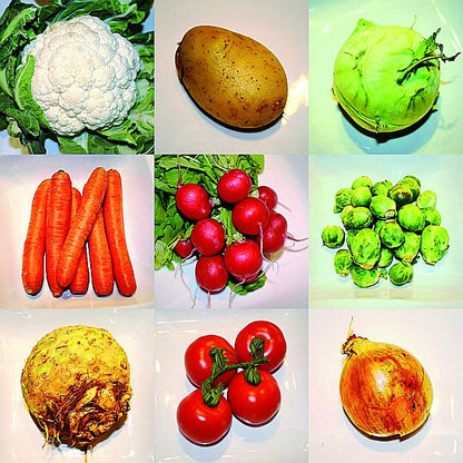 Holzpuzzle Gemüse 9er, Puzzle