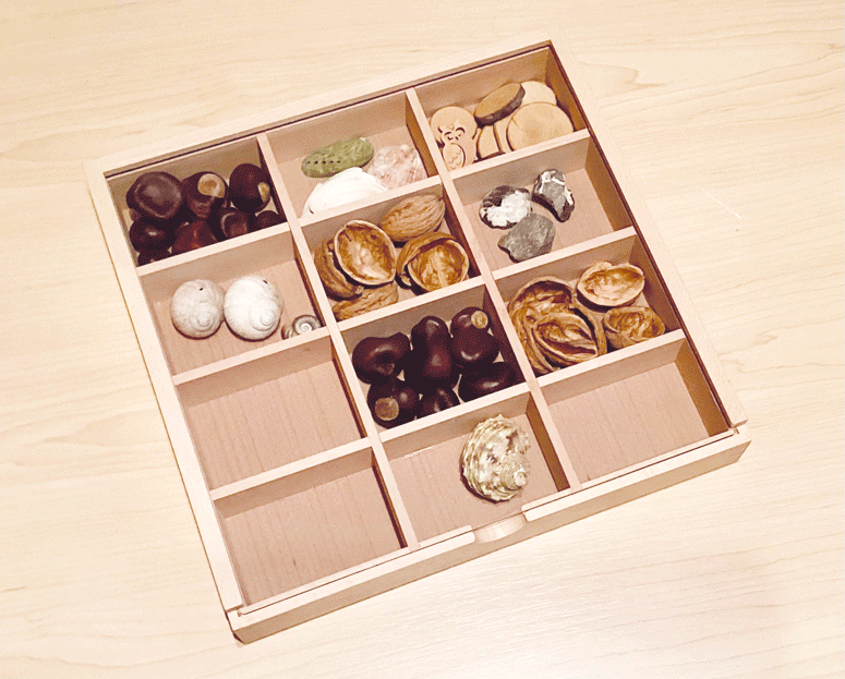 Sortierbox mit durchsichtigem Schiebedeckel groß mit 12 Fächer  29x28x5