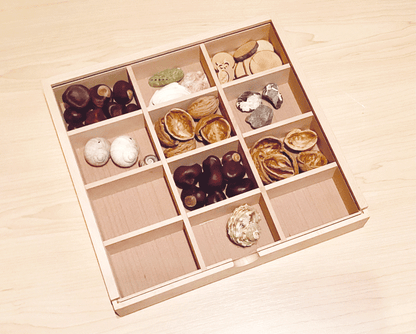 Sortierbox mit durchsichtigem Schiebedeckel groß mit 12 Fächer  29x28x5