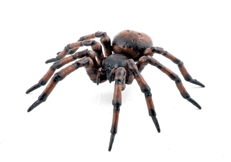 Spielfigur Papo Gemeine Spinne