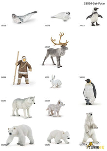 Ensemble d'animaux polaires 9 pièces.