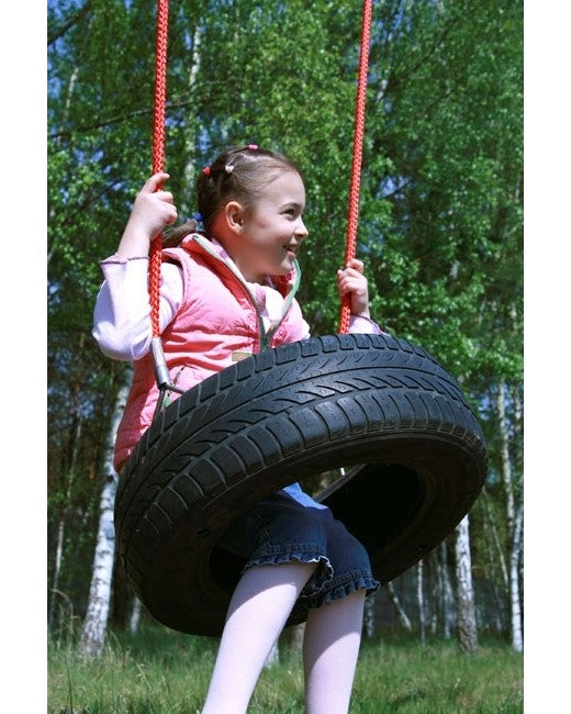 Doppelschaukel mit Babyschaukel und Reifensitz