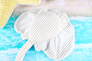 Poids de la raie animale Rudi