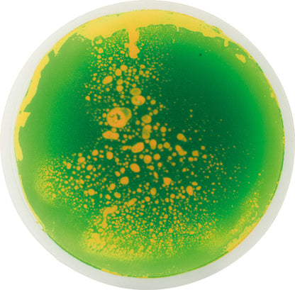 Aqua-Fluid plates, round, set of 5