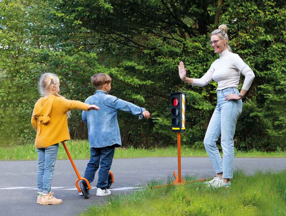 Traffic light manual setting