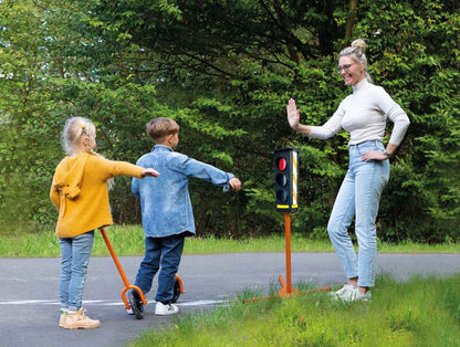 Traffic light manual setting