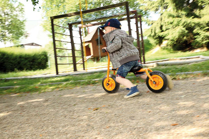 Top Trike balance bike Little Walker