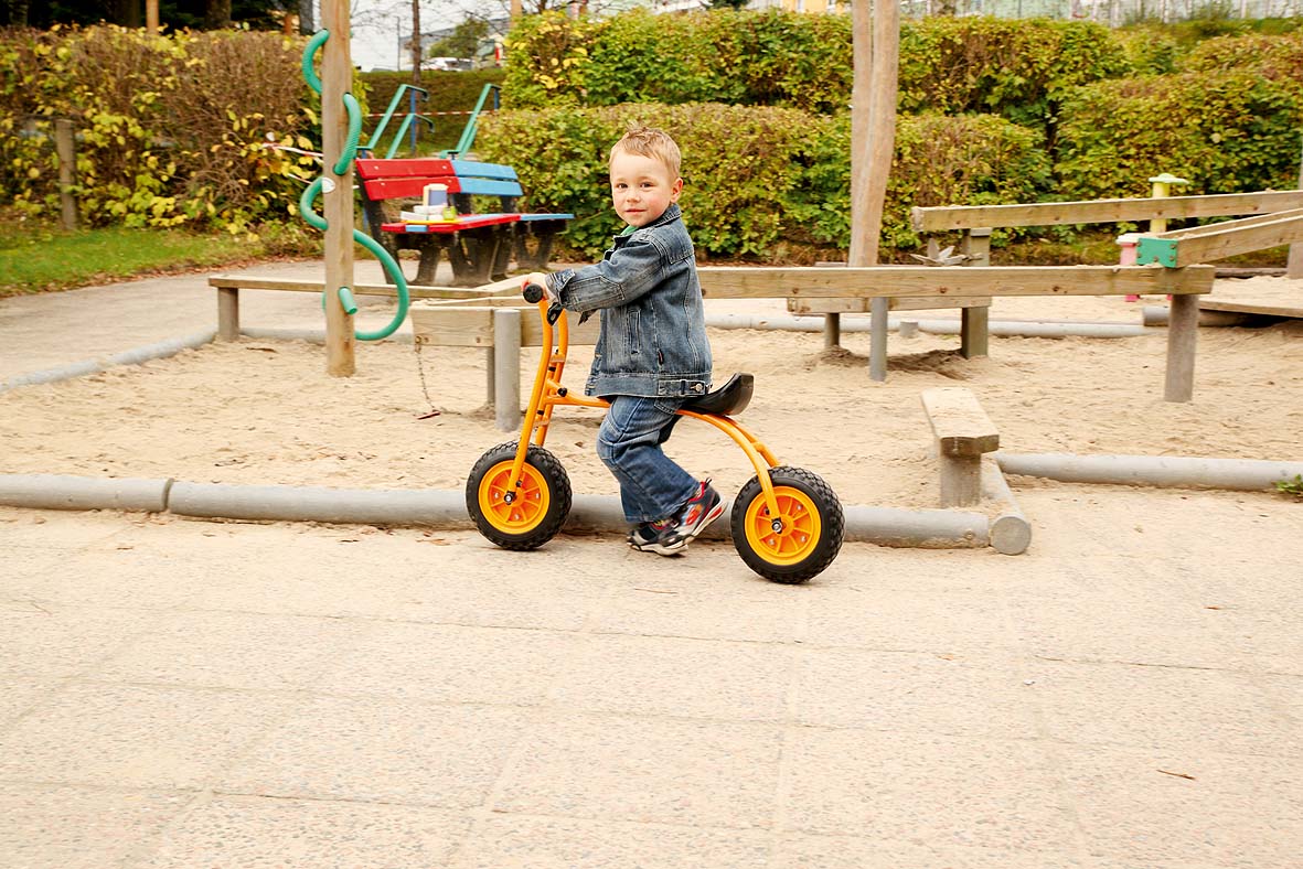 Top Trike Balance Bike Walker