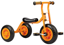 Top Trike Small Tricycle