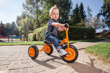 Top Trike Small Tricycle