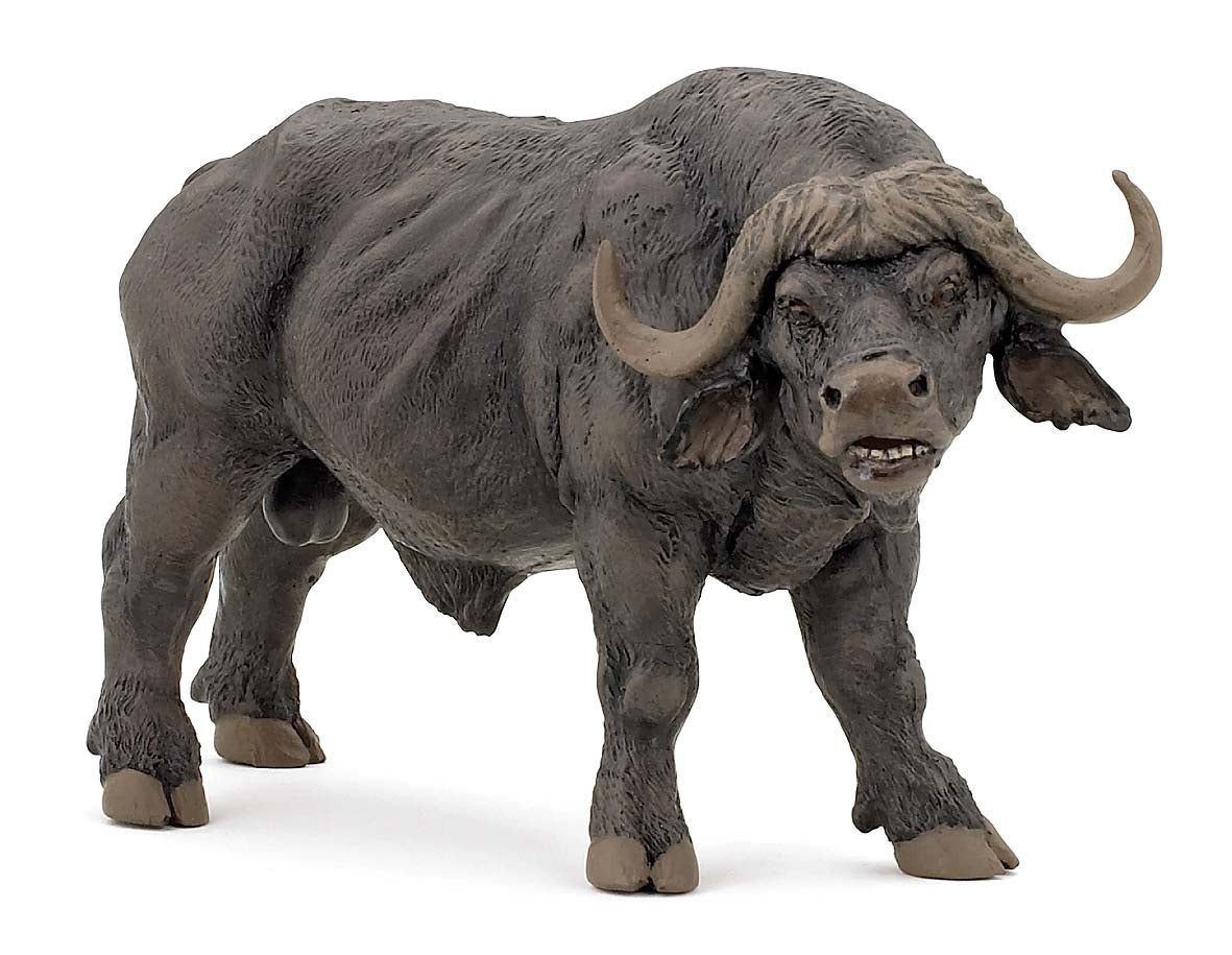 Ensemble d'animaux sauvages africains