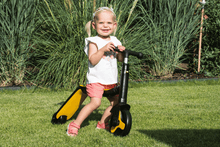 Roller-Laufrad Wendefahrzeug