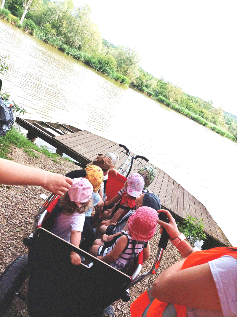 Rambler EXPLORER 120