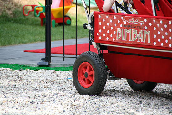 Rambler EXPLORER 120