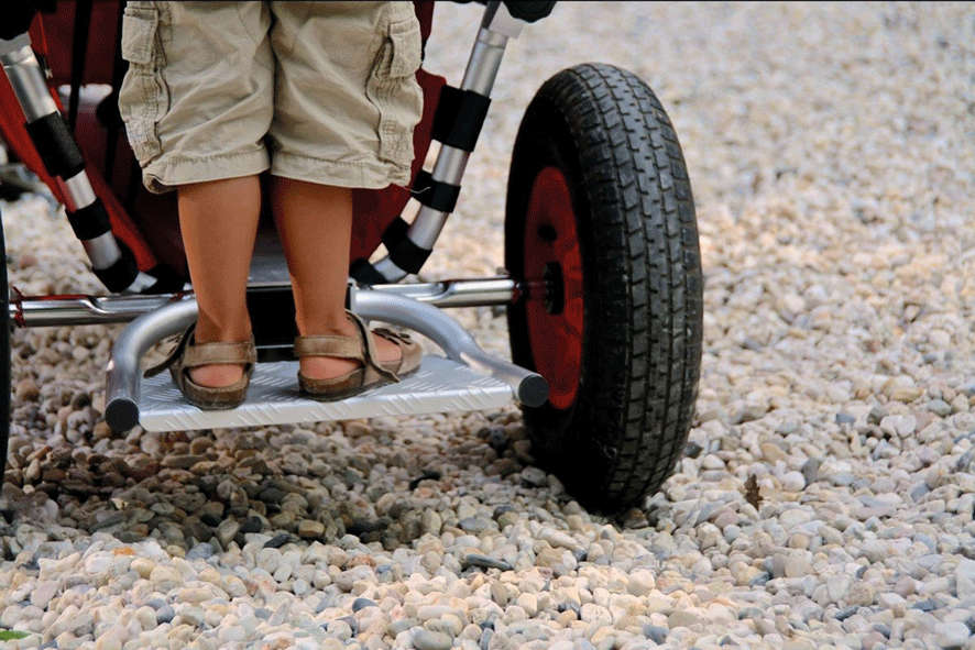 Rambler Trittbrett Aluminium