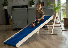 Löwengym Rollenrutsche 200 cm