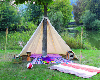 Baum Tipi