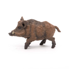 Faune indigène, ensemble de 9 pièces.