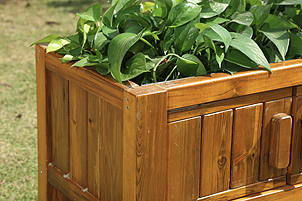 Jardinière avec fenêtre pour les racines