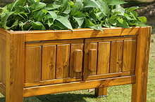 Planter with root window