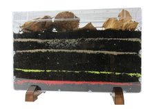 Regenwurm Beobachtungs-Set 8tlg.