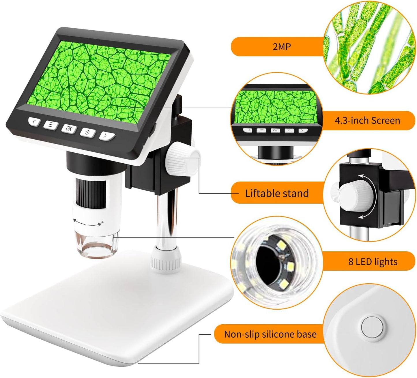 Digital microscope with 4.3" screen, up to 1000x magnification and 8 adjustable LED lights