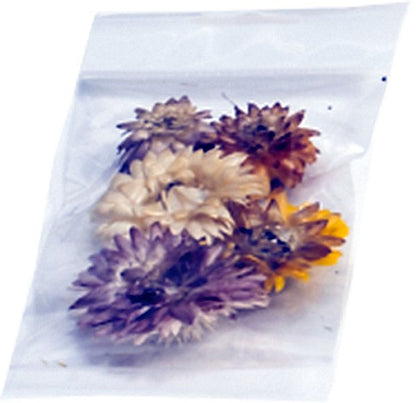 Gruppen Set Papierschöpfen