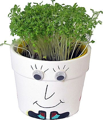 Blumentopf weiß mit Motiv