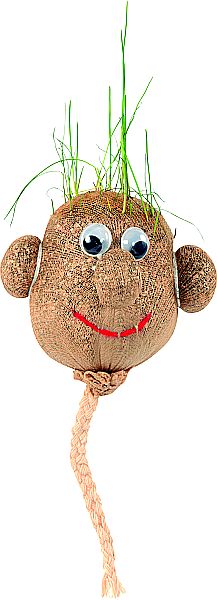 Grasköpfchen 12er Set