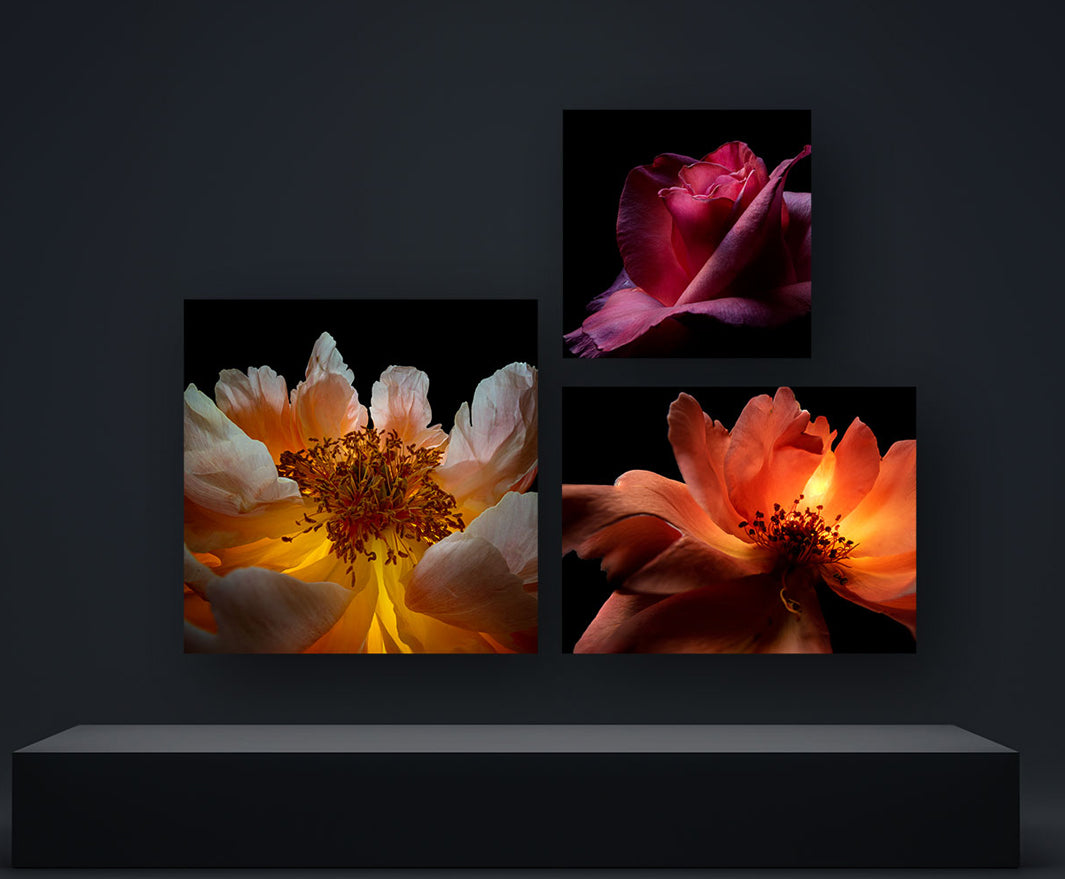 Panneau d'absorption acoustique 70 x 70 x 5 cm avec image