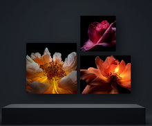 Panneau d'absorption acoustique 70 x 70 x 5 cm avec image