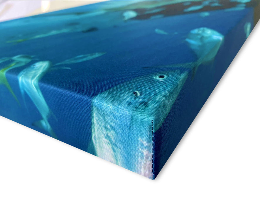 Panneau d'absorption acoustique 70 x 70 x 5 cm avec image