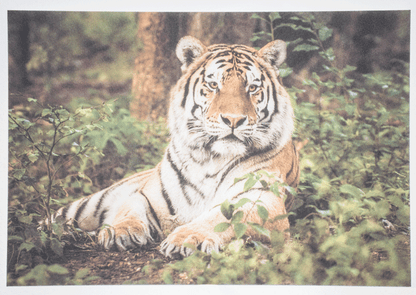 Löwenherz Schallfresser - Rahmenlose Platte,  25 mm dick, rechteckig, 50/100 cm Kantenlänge in buntem Design