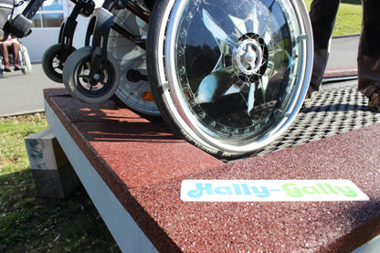 Spielplatz-Trampolin Rolli NEU, 300 x 175 cm